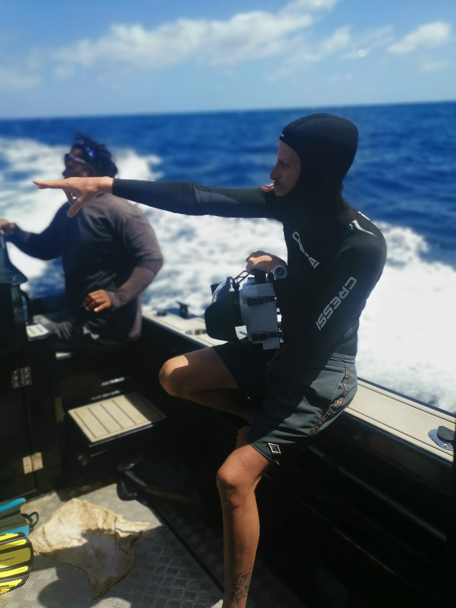 Tonga whale swim guide