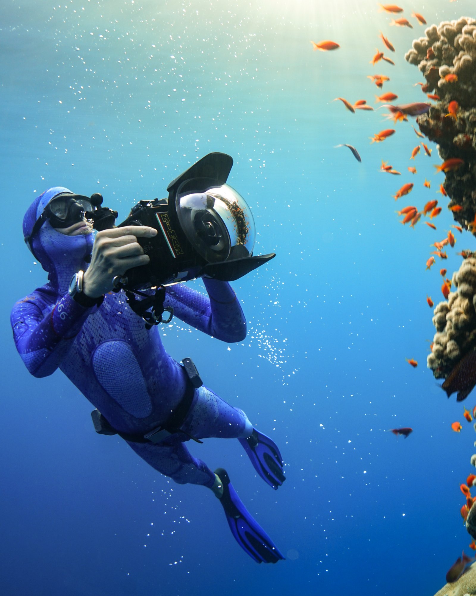 Underwater photographer with reef fish