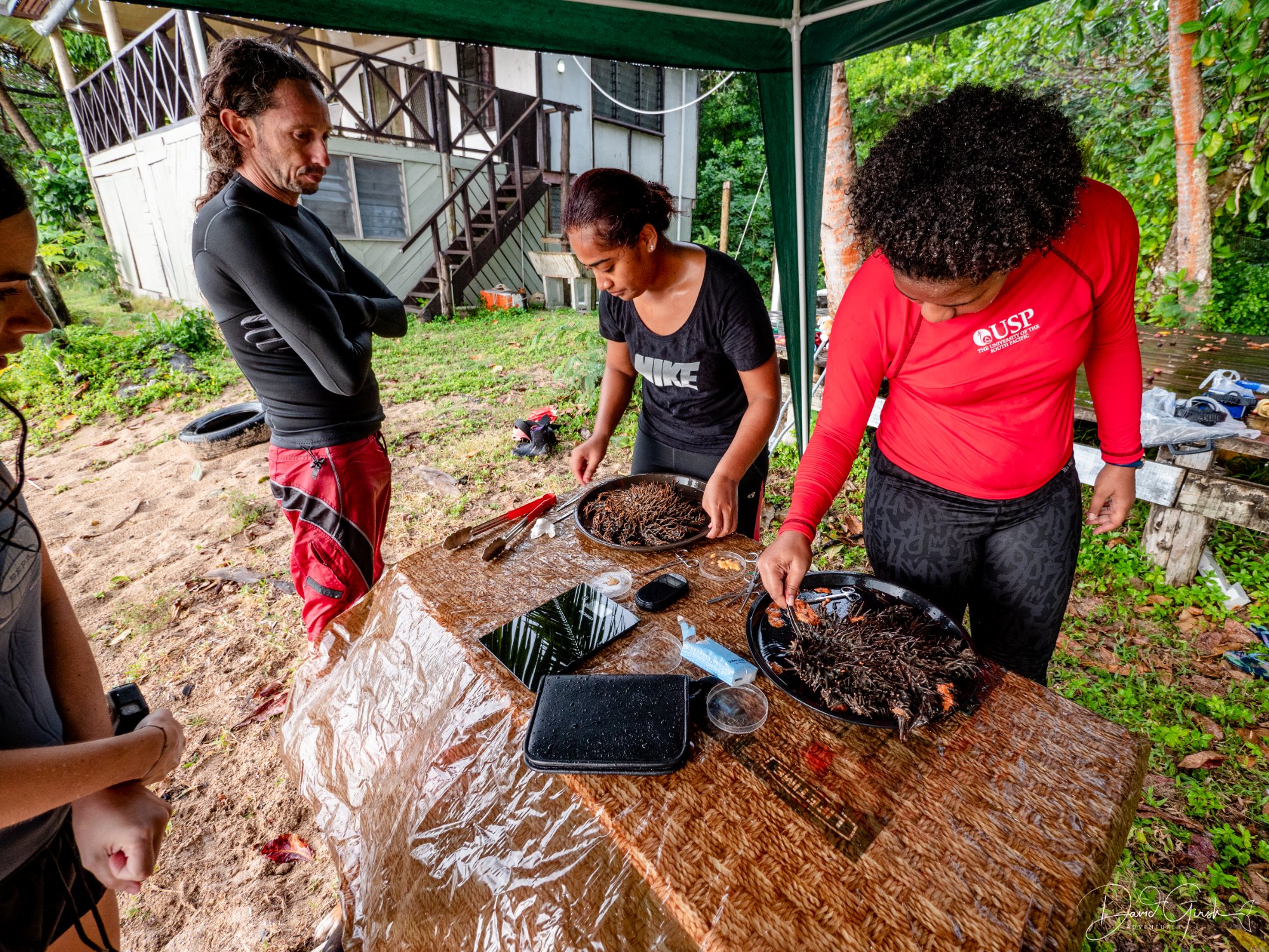 Mangrove boat journey