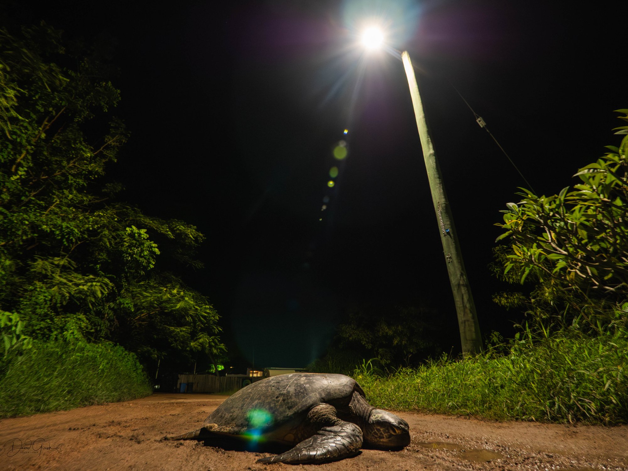 Community meeting Torres Strait