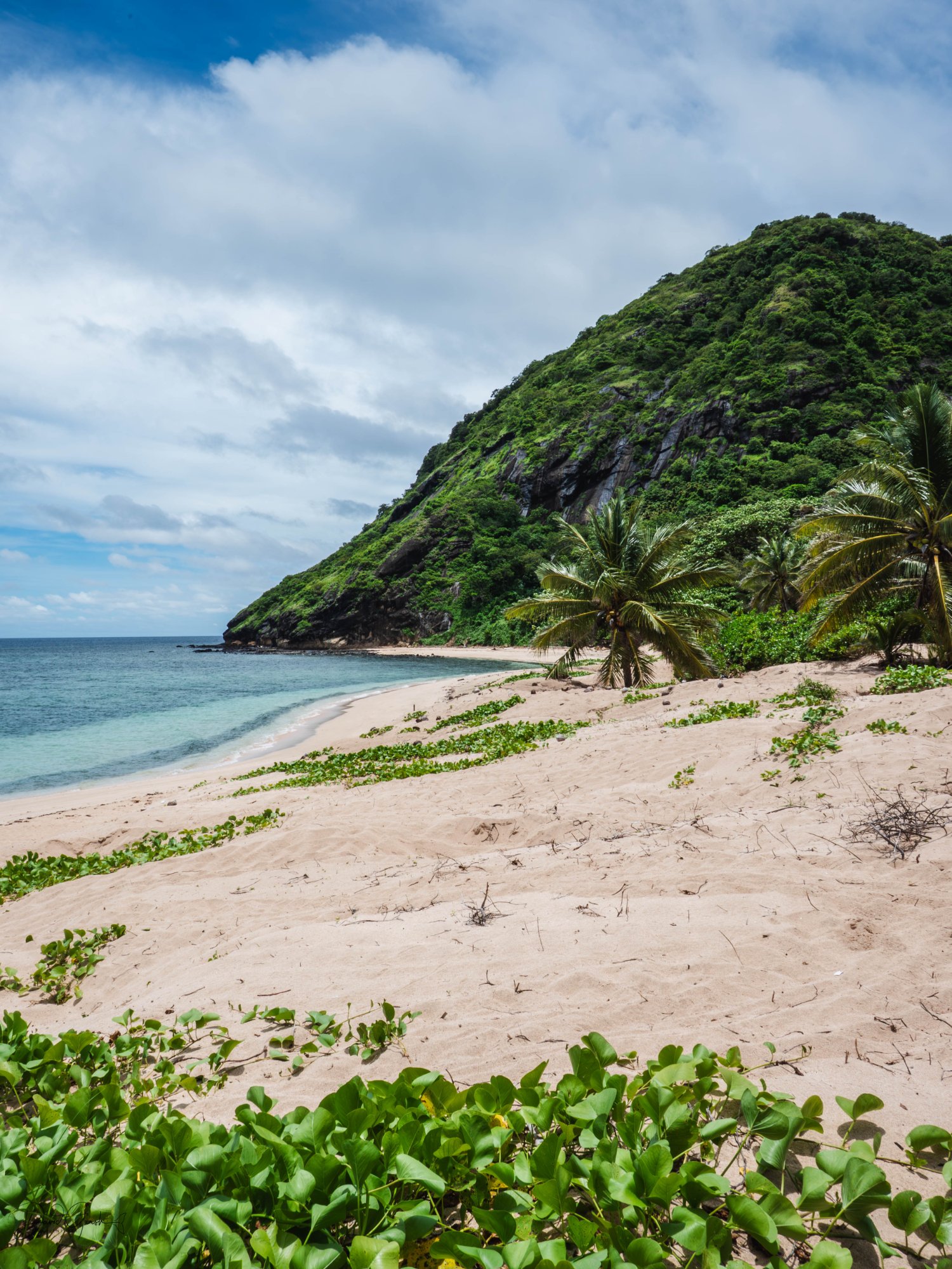 Island beach with mountain