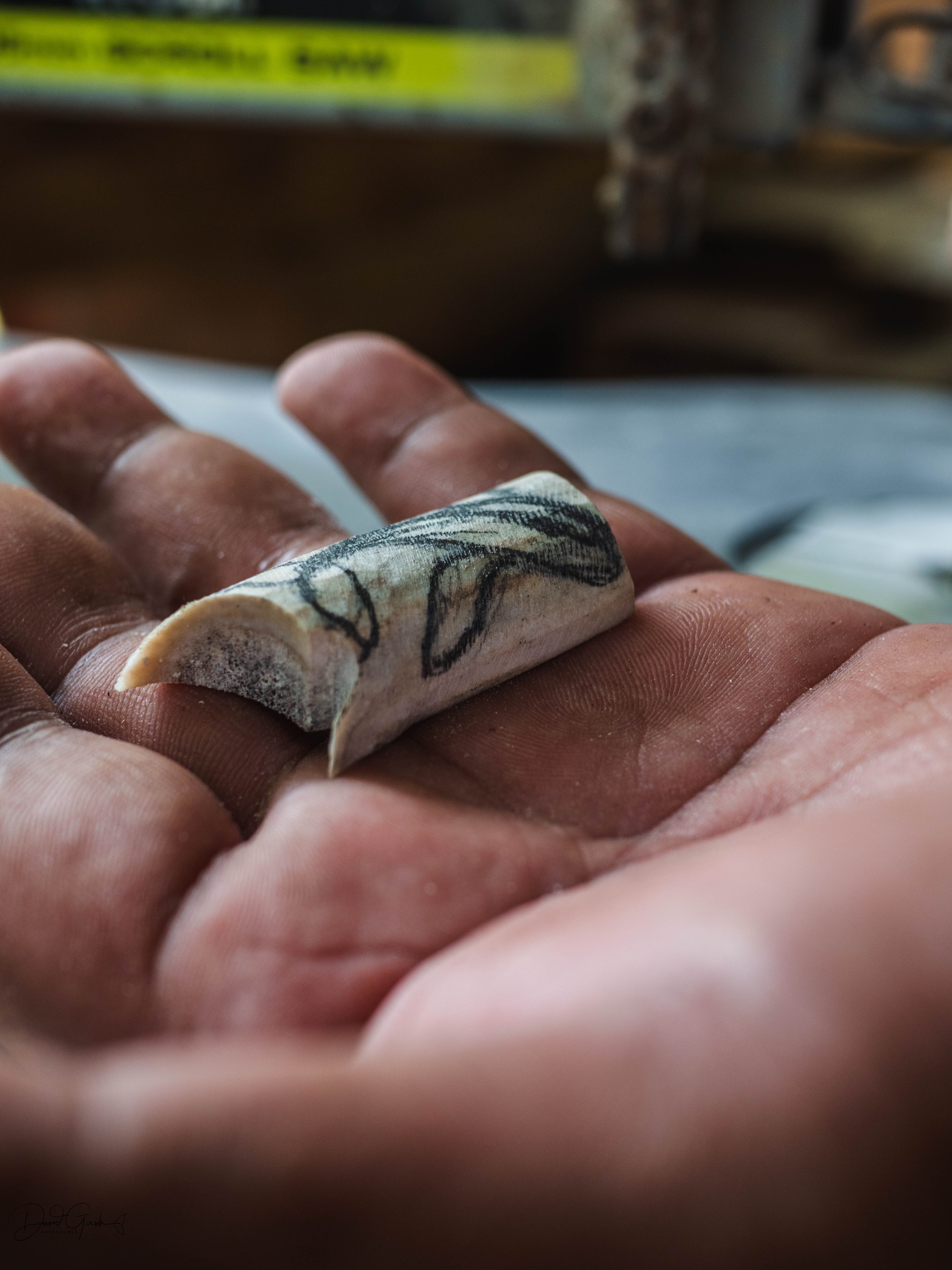 Carved whale tooth resting in an open palm, designs sketched in ink