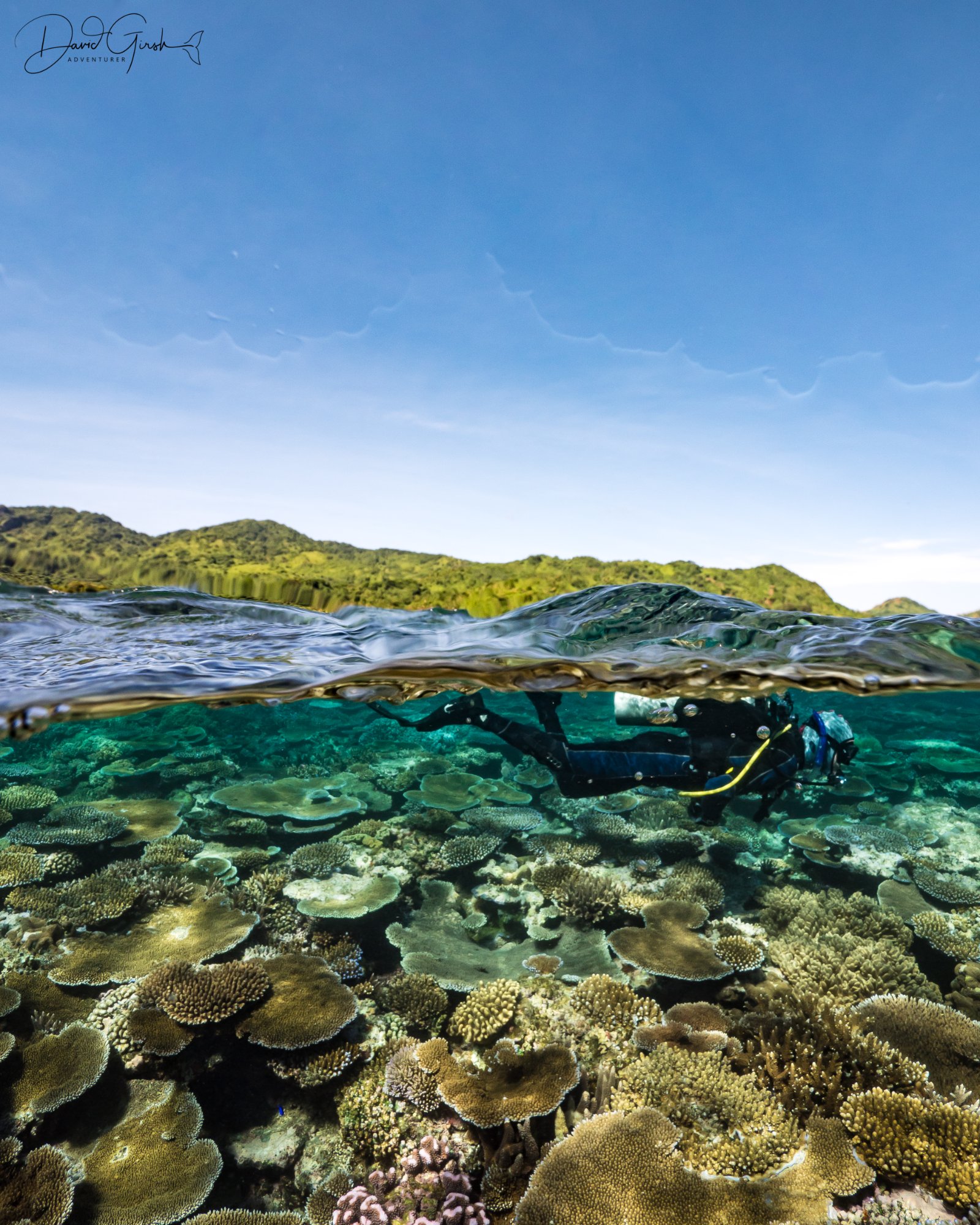 Fiji coral reef diver