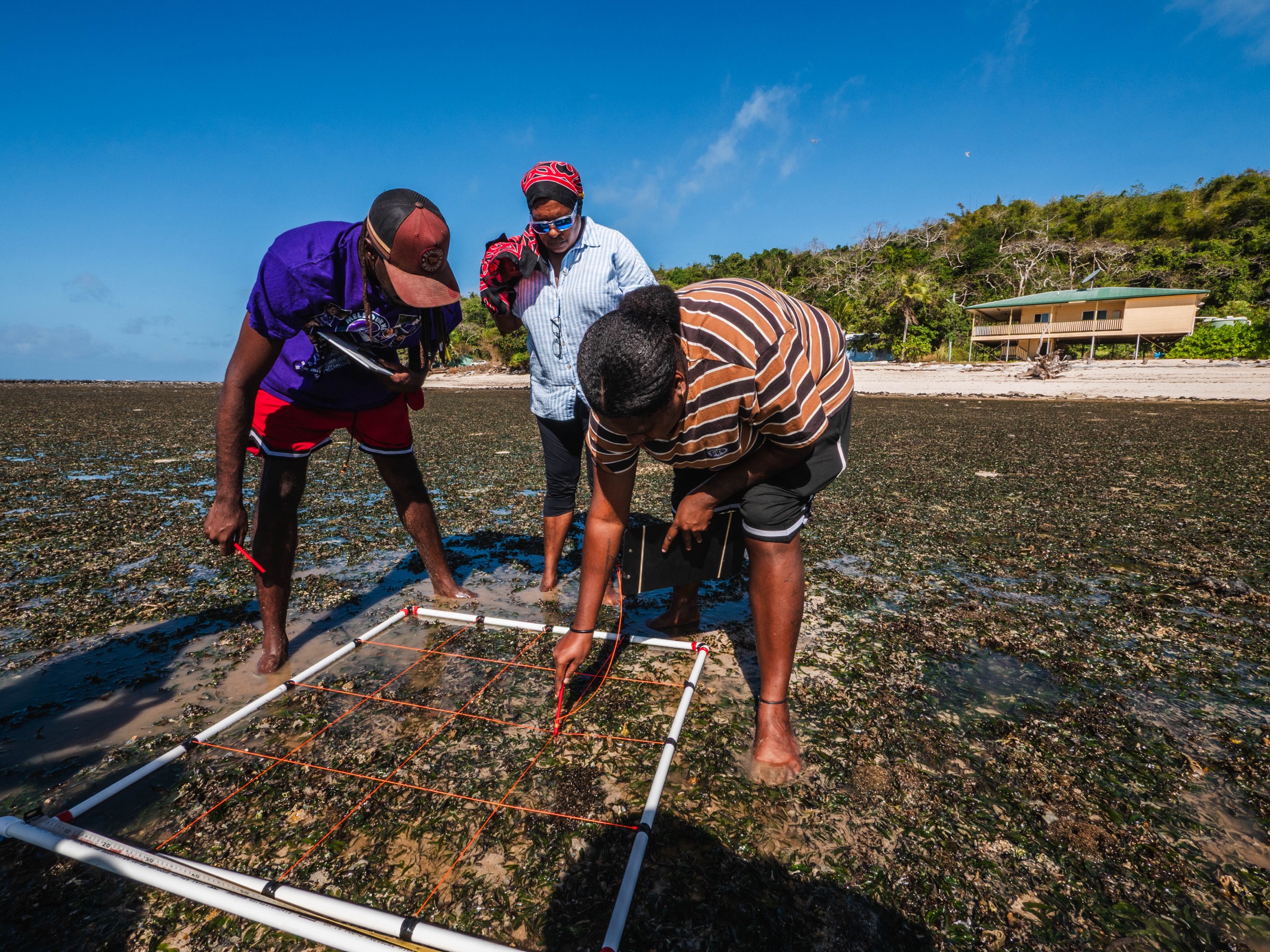 Running a survey on the reef flat, Mer Island