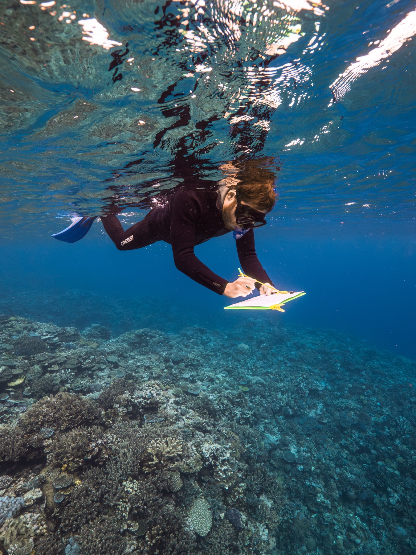 Coral reef health monitoring, Vava'u Tonga