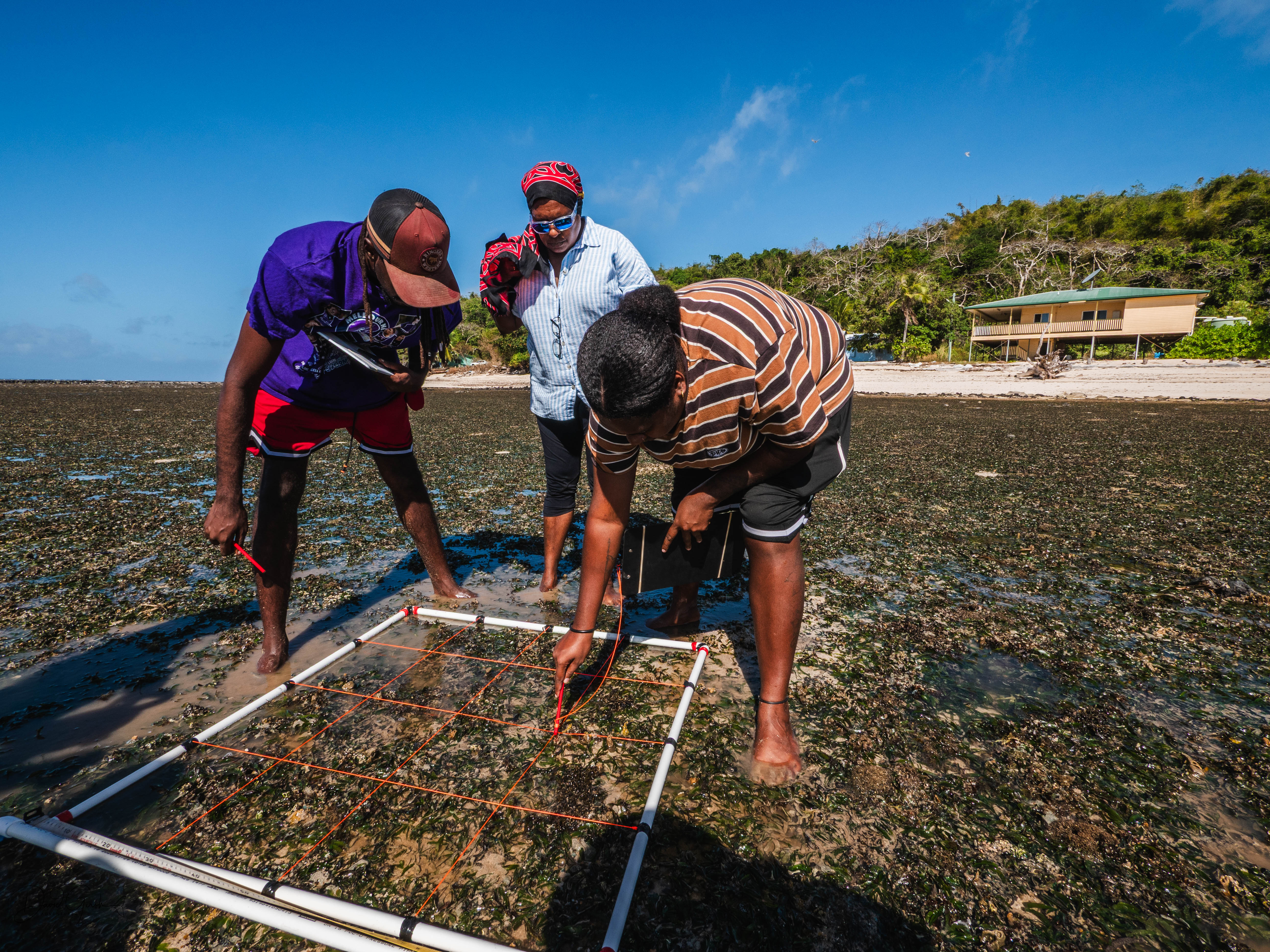 Survey team running a quadrat survey on the reef flat on Mer Island